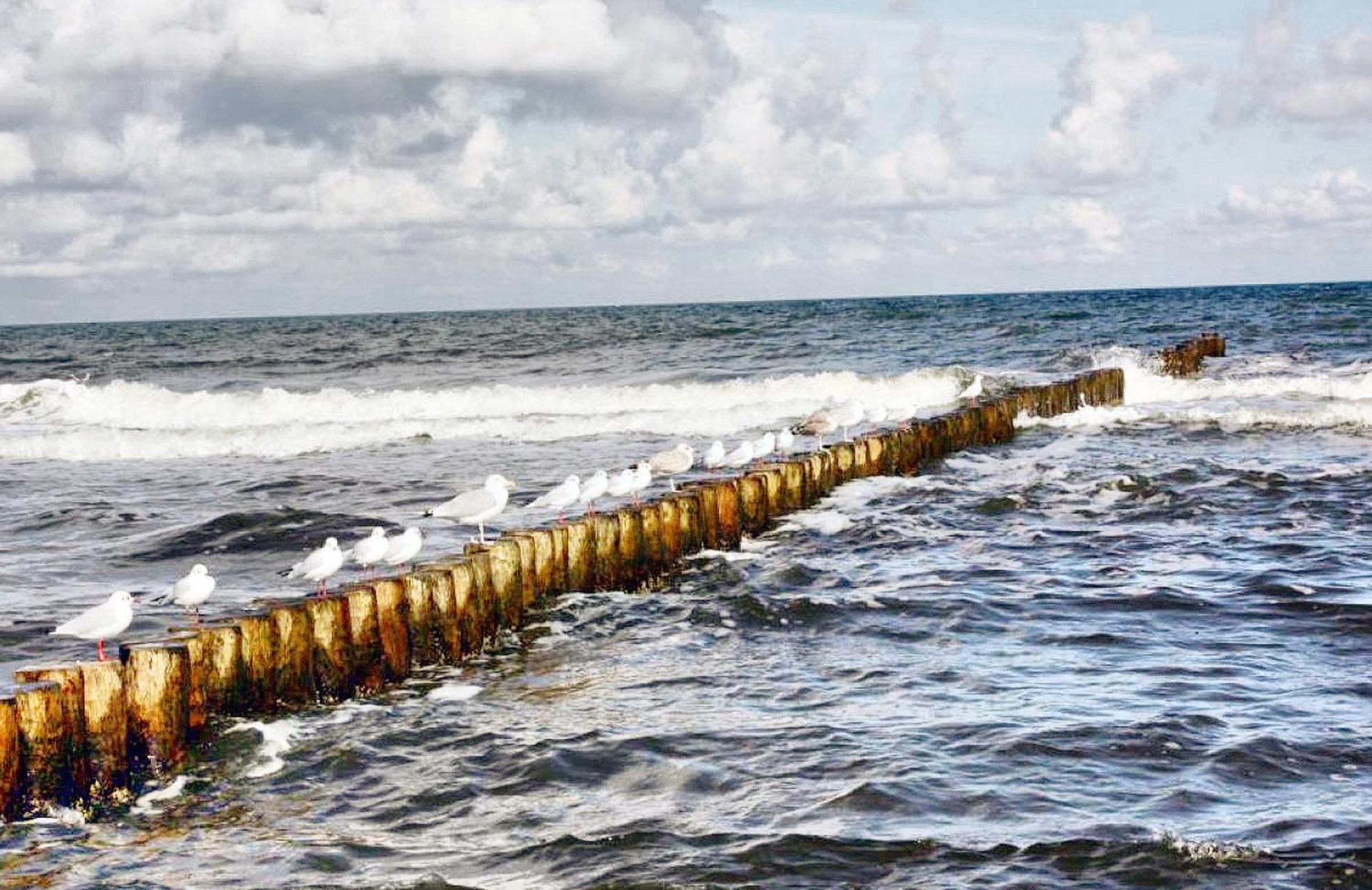Haus Seegurke Zingst Esterno foto